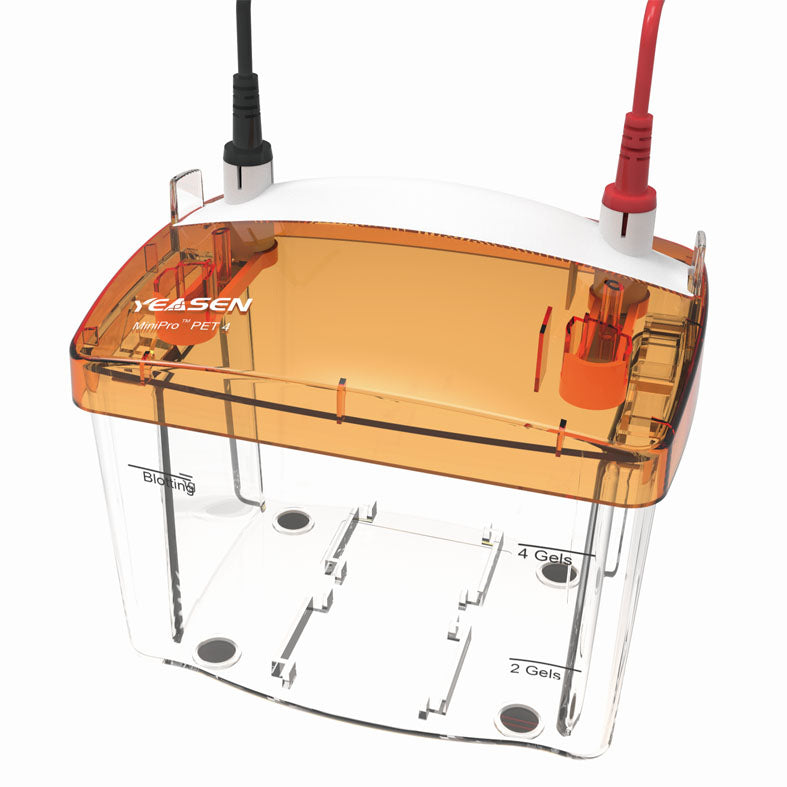 MiniPro™ PET 4 Vertical Electrophoresis Cell, 4-gels, for 1.0 mm thick gels -80211ES